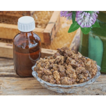 gdzie kupić propolis